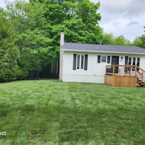 Installation de tourbe