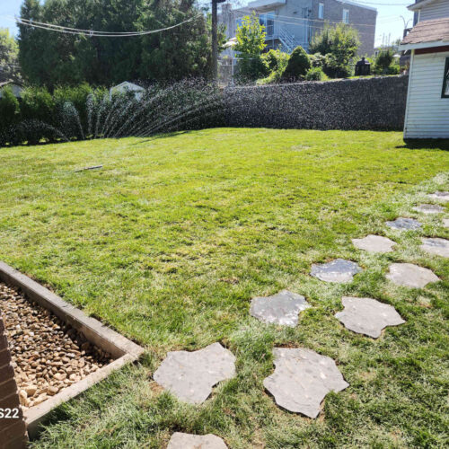 Installation de gazon