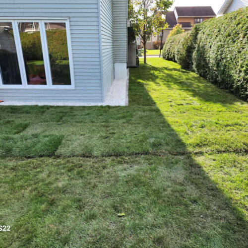 Pose gazon Laurentides