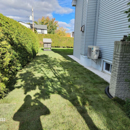 Travaux installation gazon