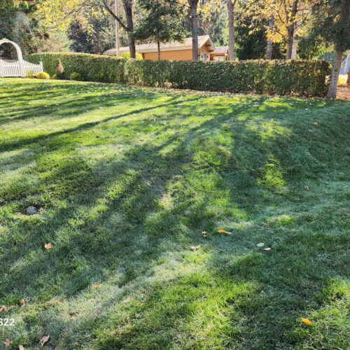 Travaux pose tourbe Rive-Nord